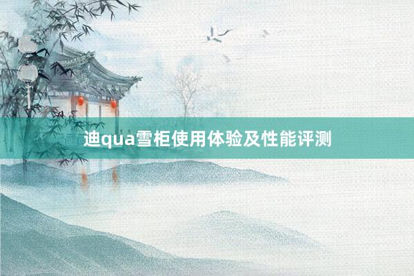 迪qua雪柜使用体验及性能评测